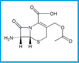 CEFALOTIN EP IMPURITY C  